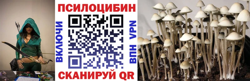 Купить  Каменск-Уральский  Псилоцибиновые грибы мухоморы 